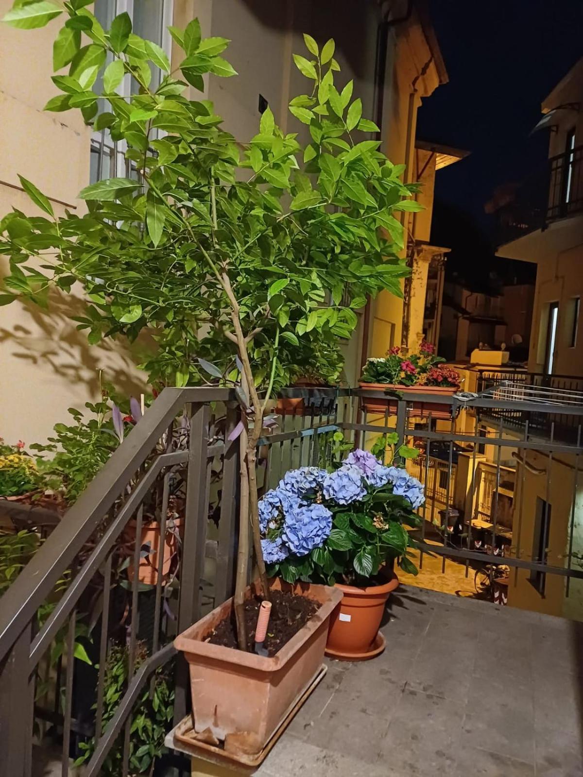 דירות טורינו La Terrazzina, Silenzioso, Zona Piazza Gran Madre מראה חיצוני תמונה